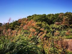 -云溪植物园