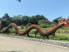 -巢湖姥山岛