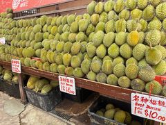 -圣淘沙天际线斜坡滑车
