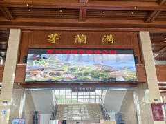 -茅兰沟国家森林公园