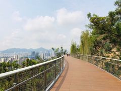 -板樟山森林公园