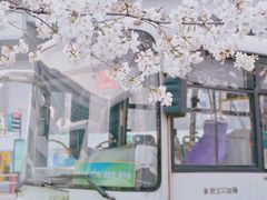 -南浦大桥长途旅游客运站