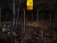 -禅宗少林·音乐大典