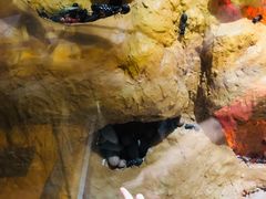 -上海昆虫博物馆