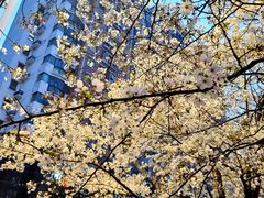 -华中科技大学光谷体育馆