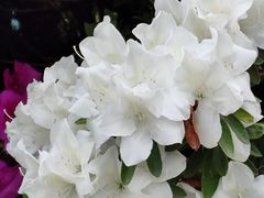 -长阳创谷