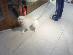 -FAELING PETS美天灵宠物(富力广场店)