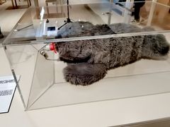 -现代汽车文化中心 Hyundai Motorstudio Beijing