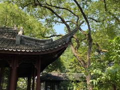-上海醉白池公园