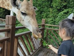 -泉州海丝野生动物世界