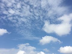 -琴岛之星摩天轮