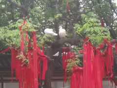 -西安青龙寺遗址景区