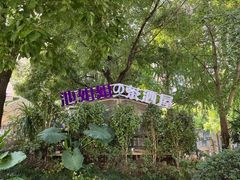 -龙头寺公园
