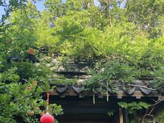 -鲤院·新中式美学·庭院餐厅(夫子庙店)