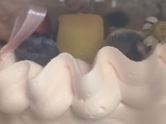 -维尔纳斯·生日蛋糕·动物奶油冰淇淋蛋糕(六里桥店)