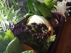 蔬菜拼盘-湊湊火锅·茶憩(新中关购物中心店)