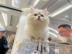 -金茂览秀城