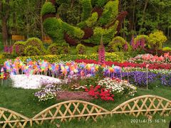 -上海共青森林公园