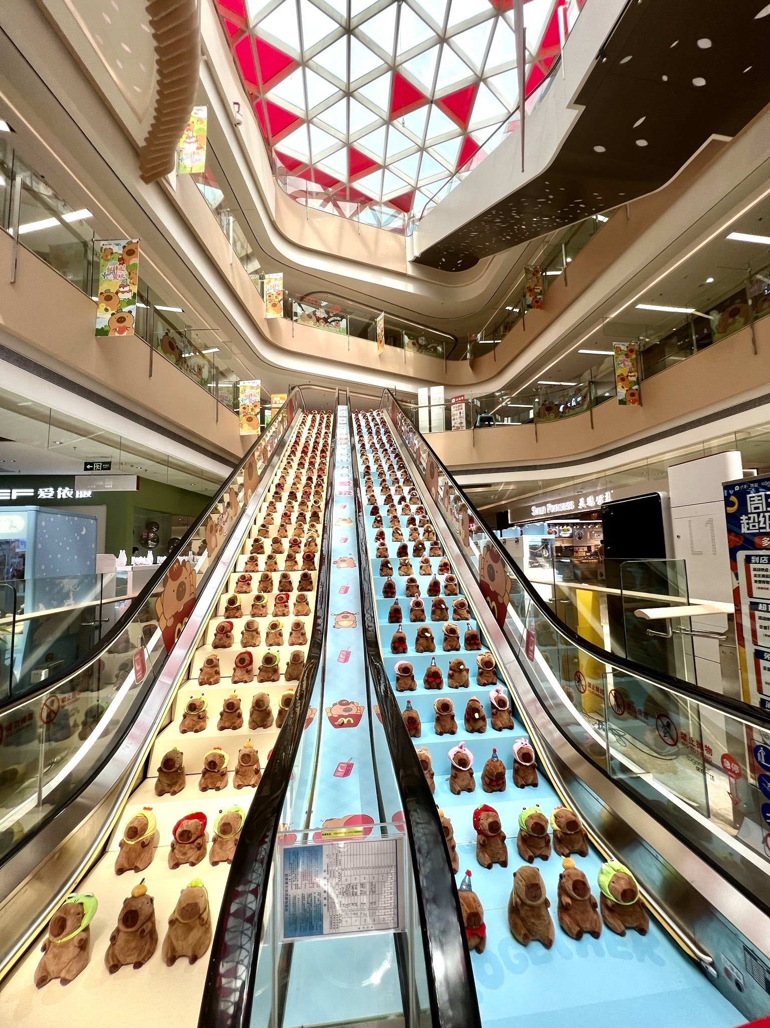 这真的是清远保利广场‼️好大一只卡皮巴拉