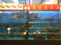 水产区-盒马鲜生(宝地店)