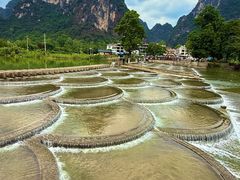 -明仕田园