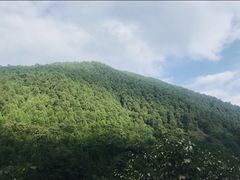 -抱龙峪