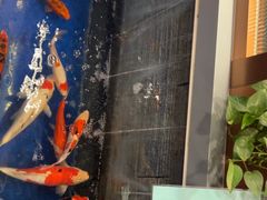 -洞庭家宴·头牌甲鱼(广渠门店)