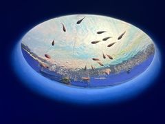 -欢乐海岸海洋奇梦馆