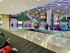 -盖达尔·阿利耶夫国际机场