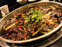 -川道拐耗儿鱼(旗舰店)