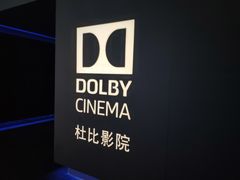 -万达影城(汉街万达广场IMAX店)