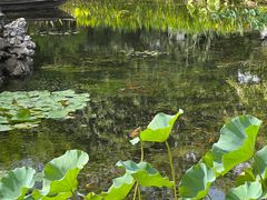 -东山雕花楼