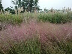 -中国天府农业博览园