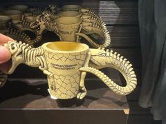 -美国自然历史博物馆