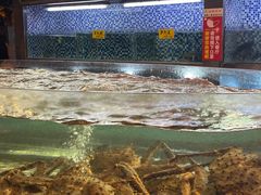 -顺德了能馆(虎门店)