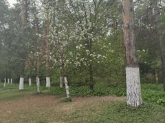 -黑龙江省森林植物园