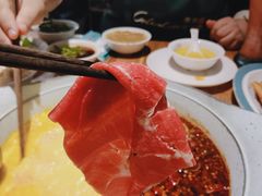 -青瓷火锅料理(西单大悦城店)