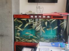 -肆月河豚·新淮扬(金融街店)