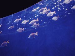 -沈阳海洋探索中心