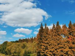 -中国浦东干部学院