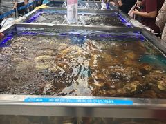 -盒马鲜生(大成店)
