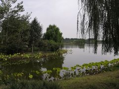 -东郊湿地公园
