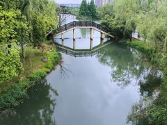 -洋湖国家湿地公园