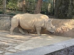 -杭州野生动物世界