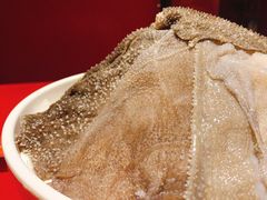鲜毛肚-山城辣妹子(定福庄店)