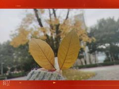 -两江幸福广场