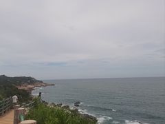 -广东惠东海龟国家级自然保护区