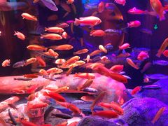 -沈阳海洋探索中心