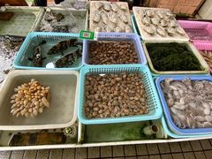 -大湾区中央湿地公园-十九涌