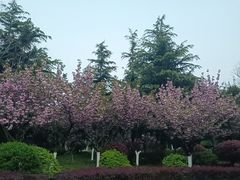 -燕儿岛山公园
